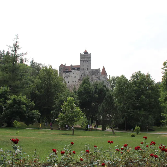 Bran Castle above its park with red flowers in the foreground