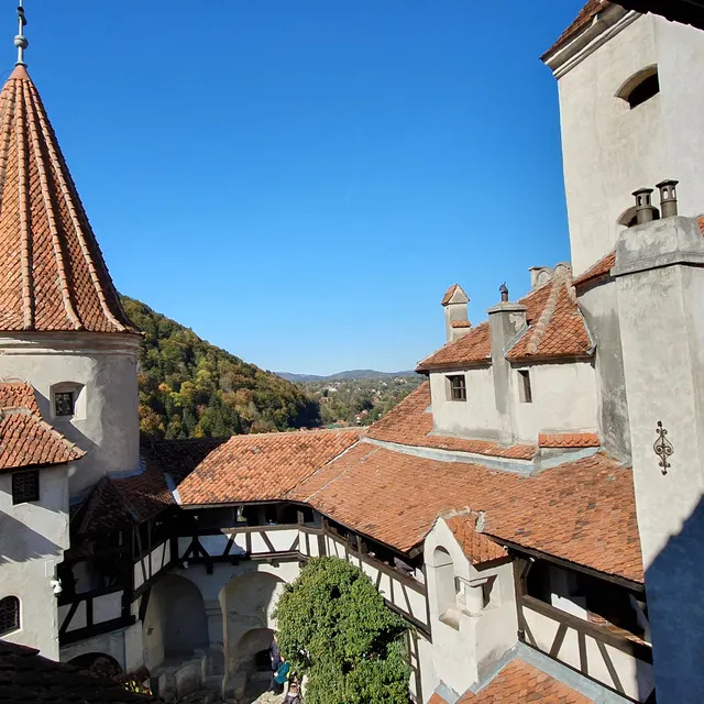 The roofs and towers of Bran Castle from above